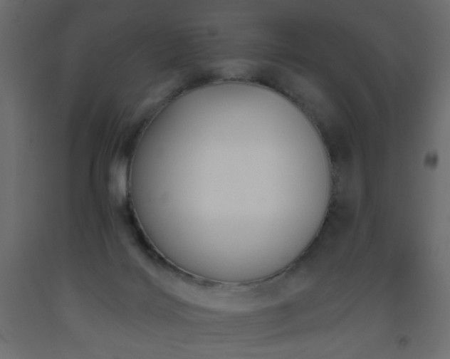 X0000093560028200710151116