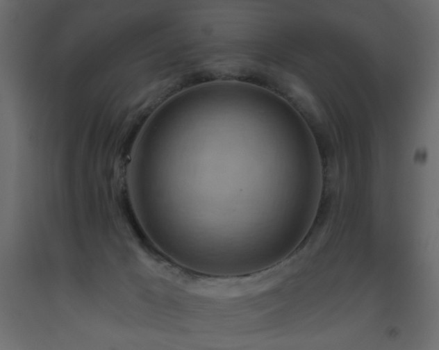 X0000093560029200710151116