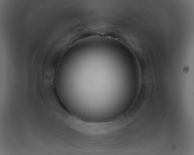 X0000093560030200710151116