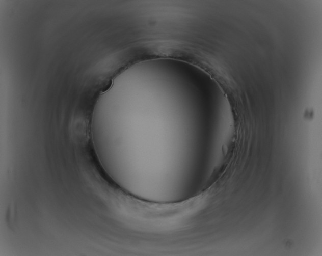 X0000093560031200710151116