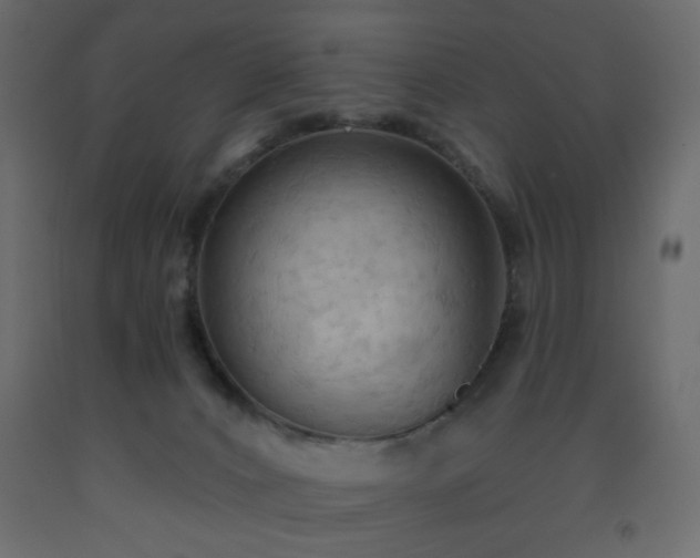 X0000093560032200710151116
