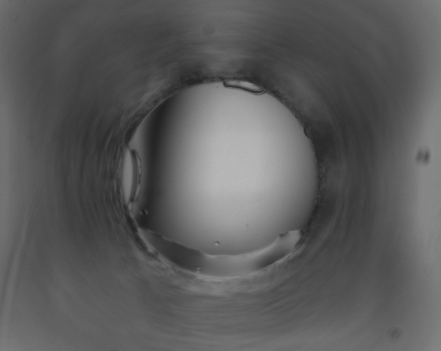 X0000093560033200710151116