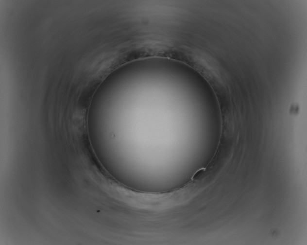 X0000093560034200710151116
