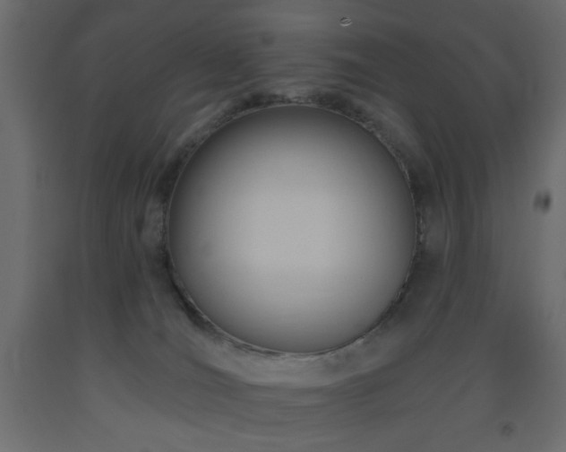 X0000093560036200710151116