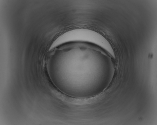 X0000093560037200710151116