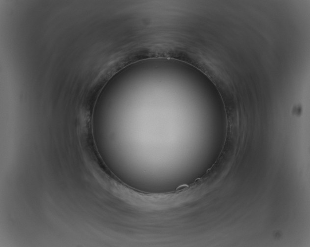 X0000093560038200710151116