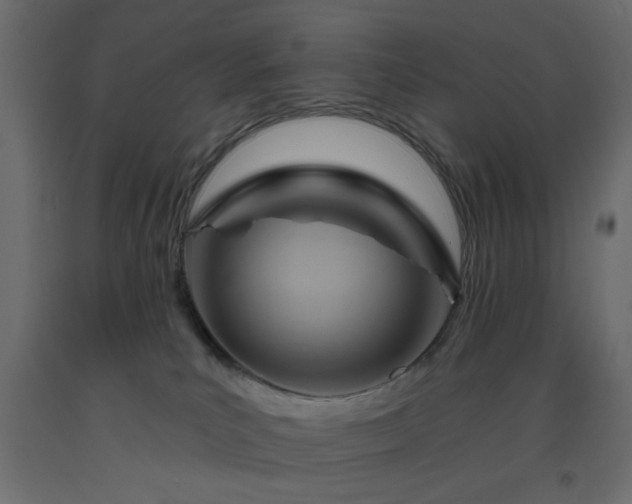 X0000093560039200710151116