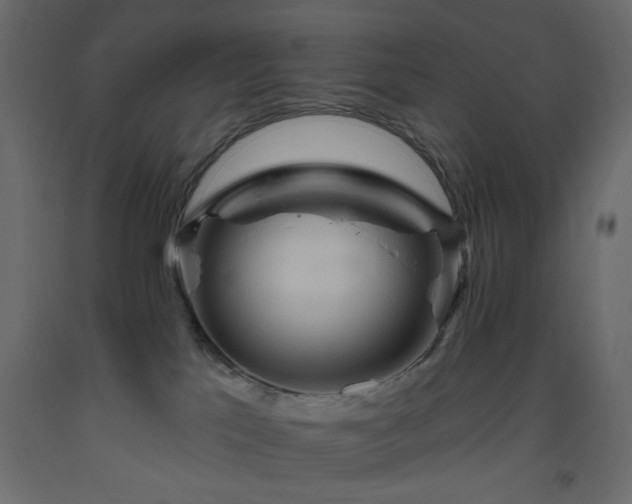 X0000093560041200710151116