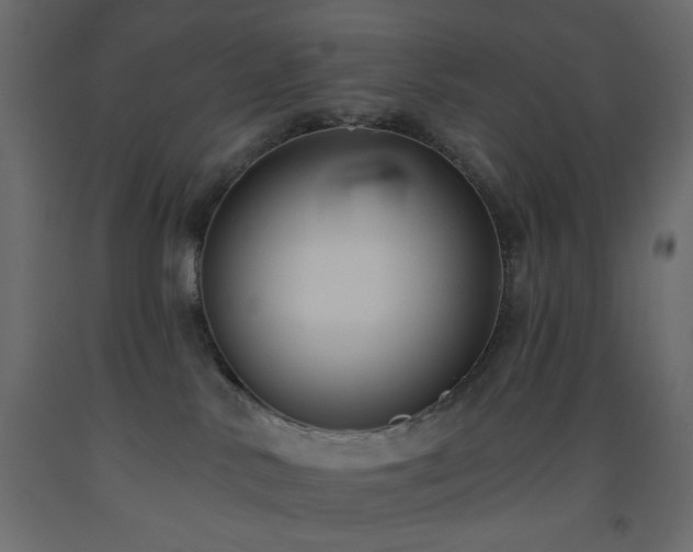 X0000093560042200710151116