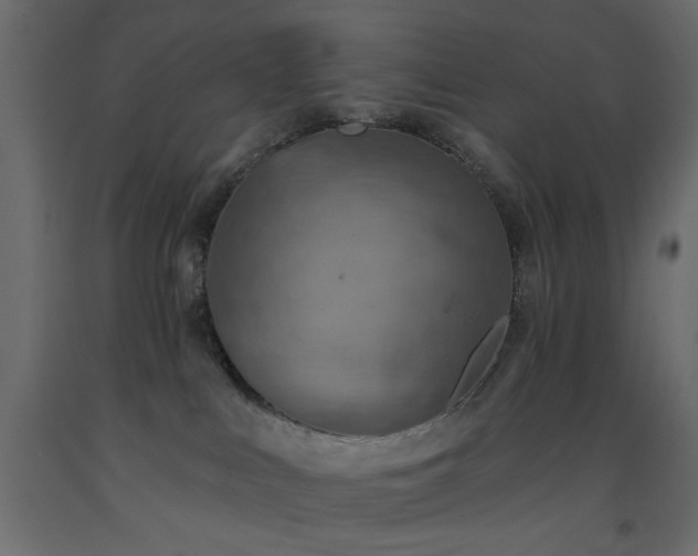 X0000093560043200710151116