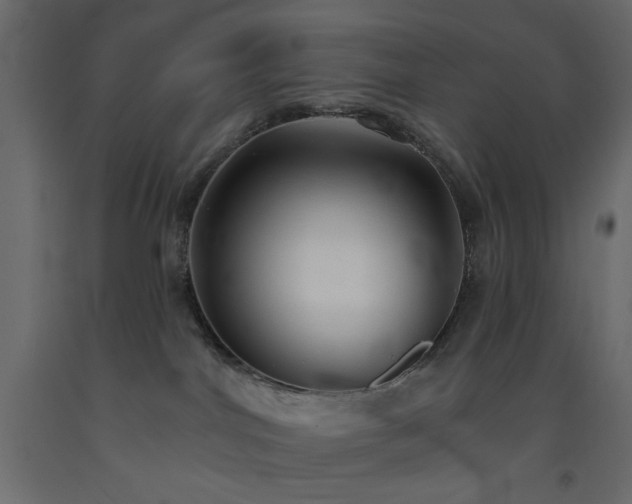 X0000093560044200710151116