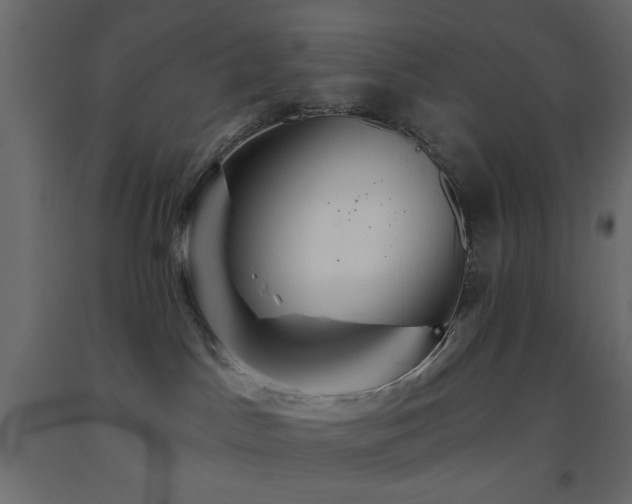 X0000093560045200710151116