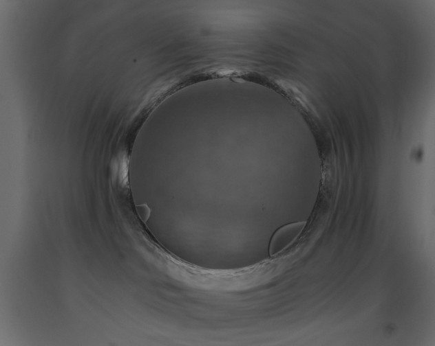 X0000093560046200710151116