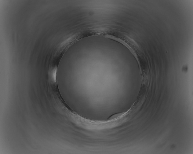 X0000093560047200710151116