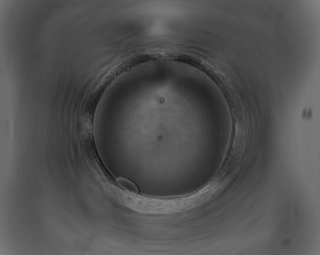 X0000093560048200710151116