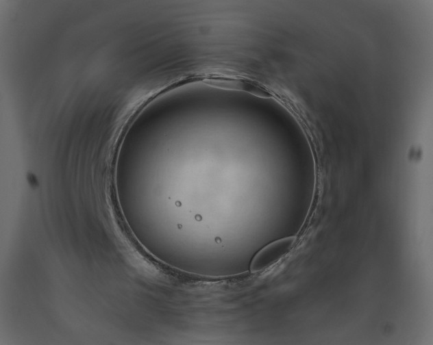 X0000093560049200710151115