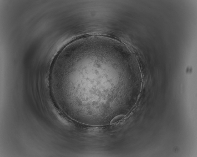 X0000093560050200710151115