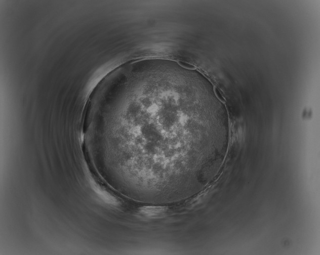 X0000093560051200710151115
