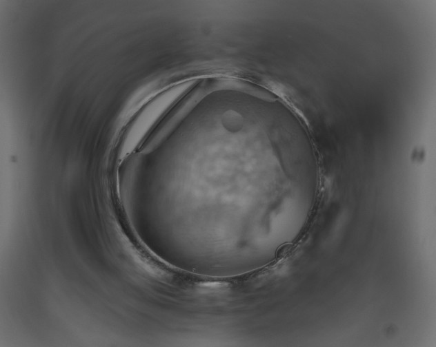 X0000093560053200710151115