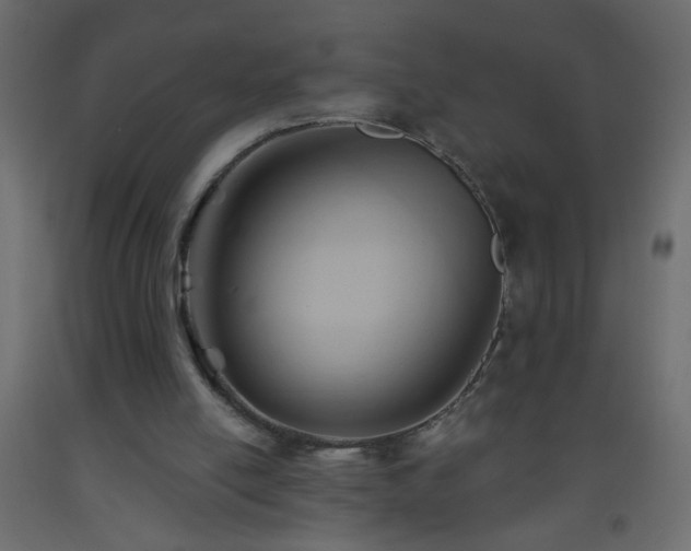 X0000093560054200710151115