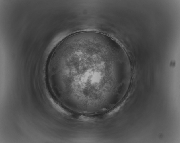 X0000093560055200710151115