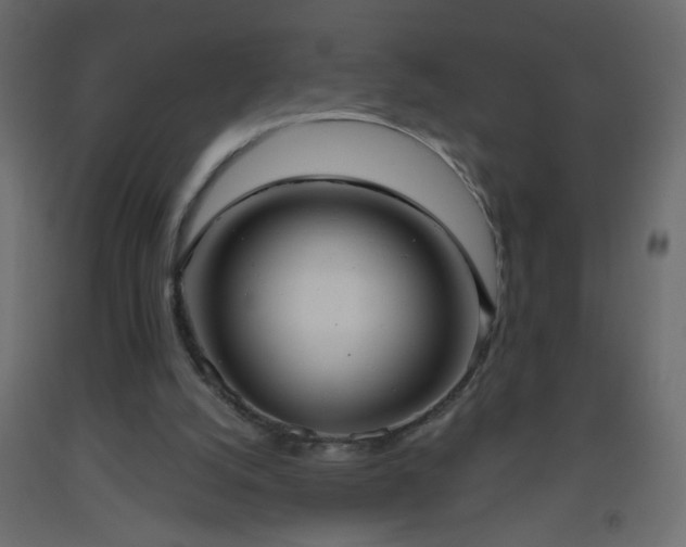 X0000093560056200710151115