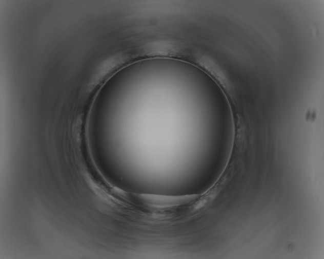 X0000093560058200710151115