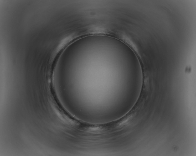 X0000093560059200710151115