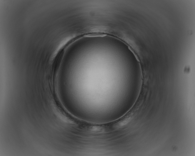 X0000093560060200710151115