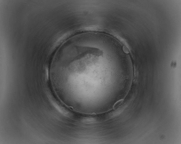 X0000093560061200710151115