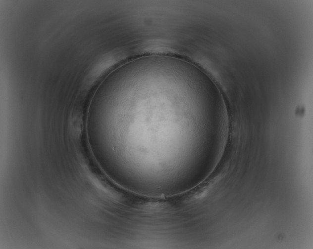 X0000093560063200710151115