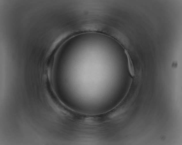 X0000093560064200710151115