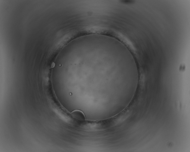 X0000093560065200710151115