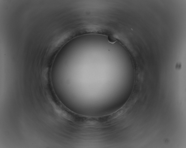 X0000093560066200710151115