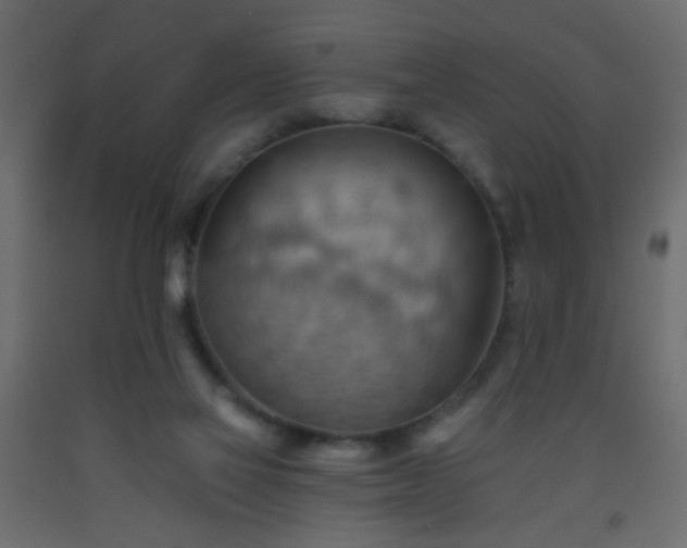 X0000093560069200710151115