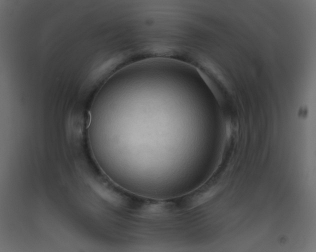 X0000093560072200710151115