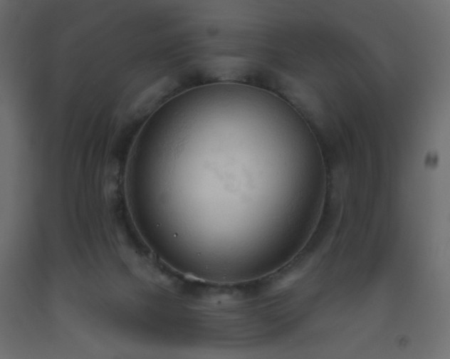 X0000093560073200710151115