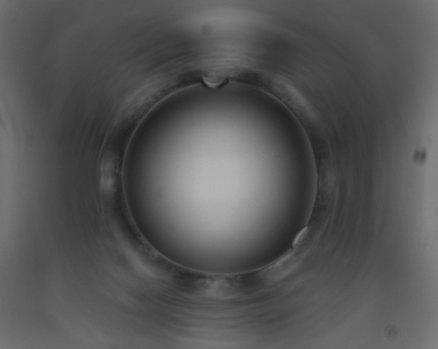 X0000093560074200710151115