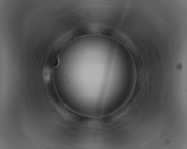 X0000093560075200710151115