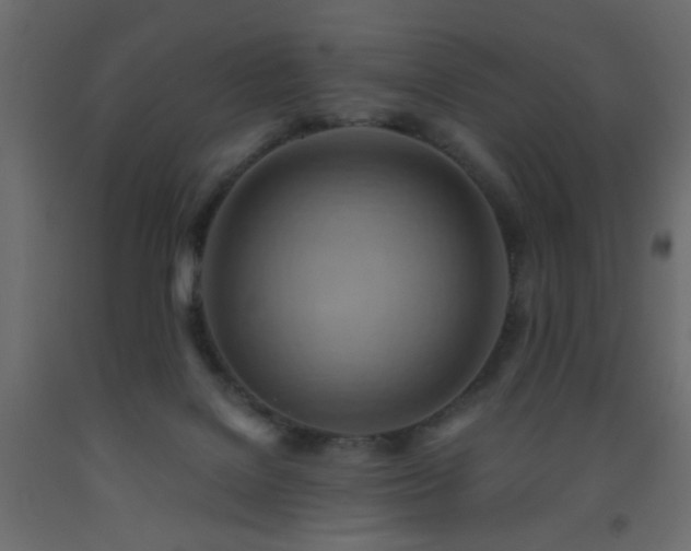 X0000093560076200710151116