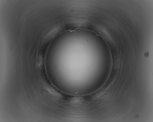 X0000093560077200710151116