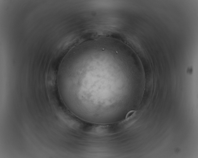 X0000093560078200710151116