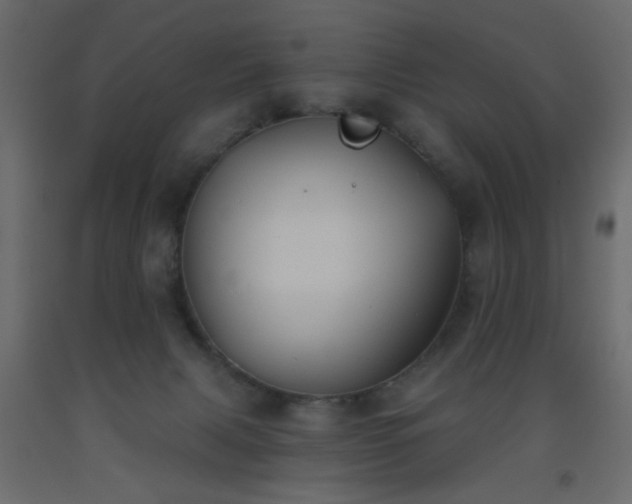 X0000093560079200710151116
