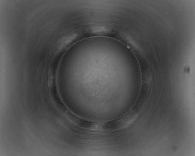 X0000093560080200710151116
