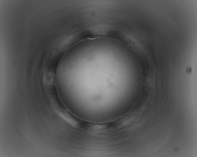X0000093560081200710151116
