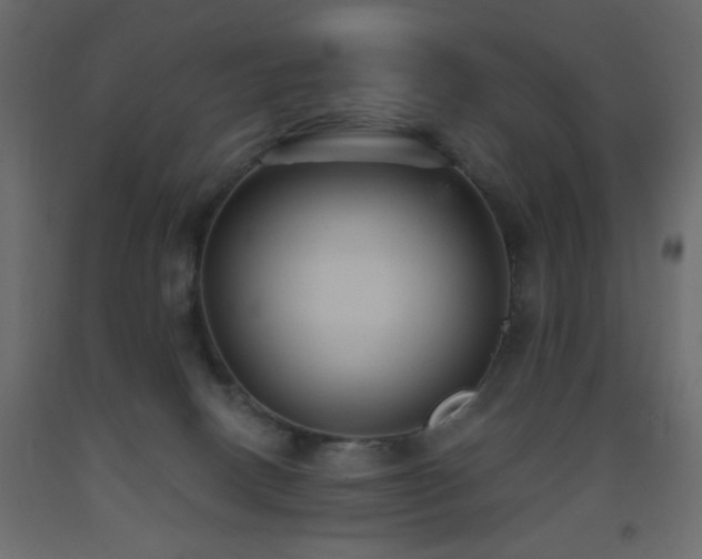 X0000093560082200710151116