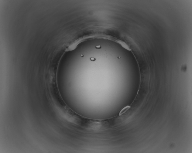 X0000093560083200710151116