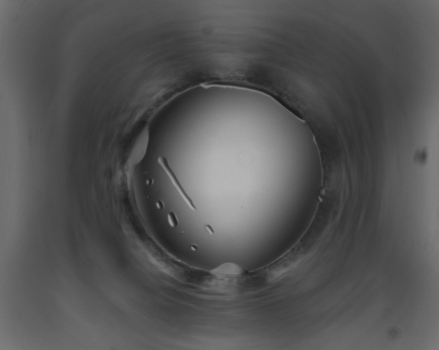 X0000093560084200710151116