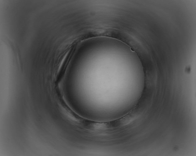 X0000093560085200710151116