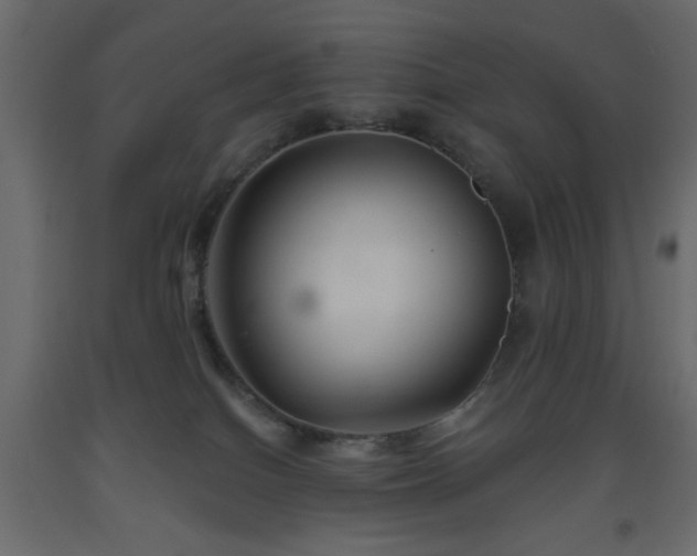 X0000093560086200710151116
